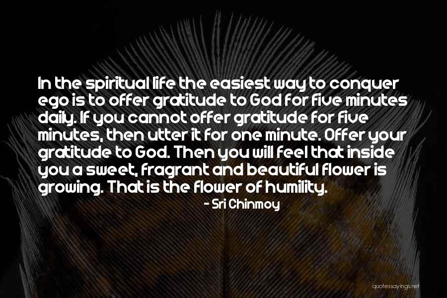 Curioseety Quotes By Sri Chinmoy Curioseety Quotes By Sri Chinmoy