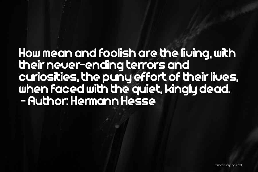 Curiosities Quotes By Hermann Hesse