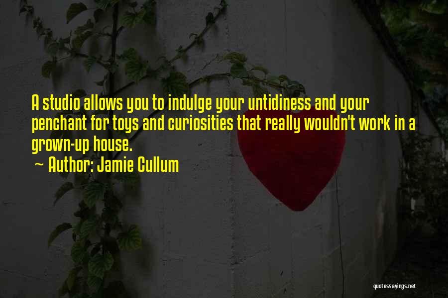 Curiosities Quotes By Jamie Cullum