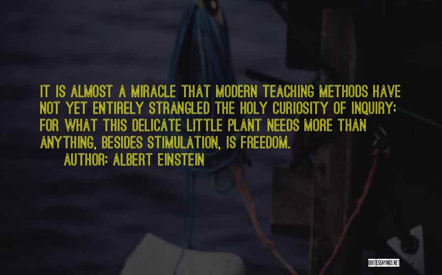 Curiosity Albert Einstein Quotes By Albert Einstein