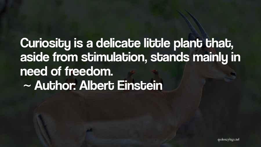 Curiosity Albert Einstein Quotes By Albert Einstein