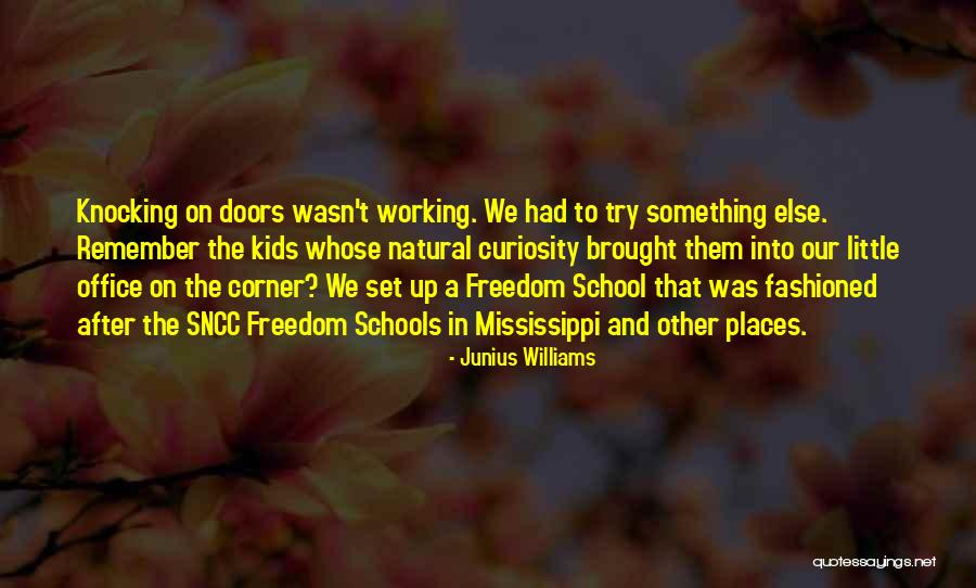 Curiosity And Kids Quotes By Junius Williams Curiosity And Kids Quotes By Junius Williams