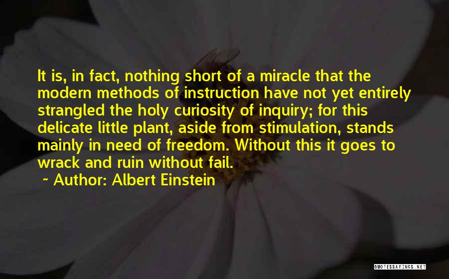 Curiosity And Learning Quotes By Albert Einstein