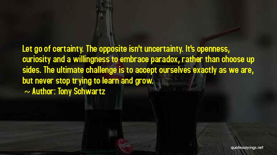 Curiosity And Learning Quotes By Tony Schwartz