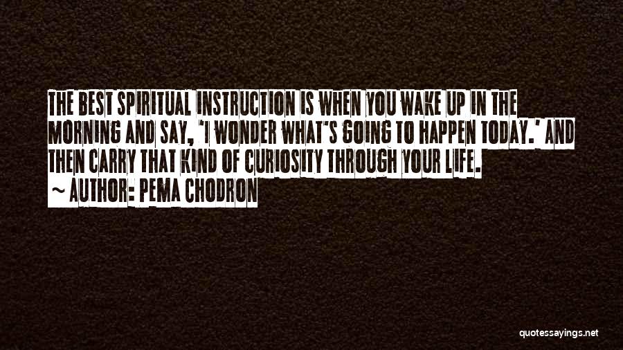 Curiosity And Wonder Quotes By Pema Chodron