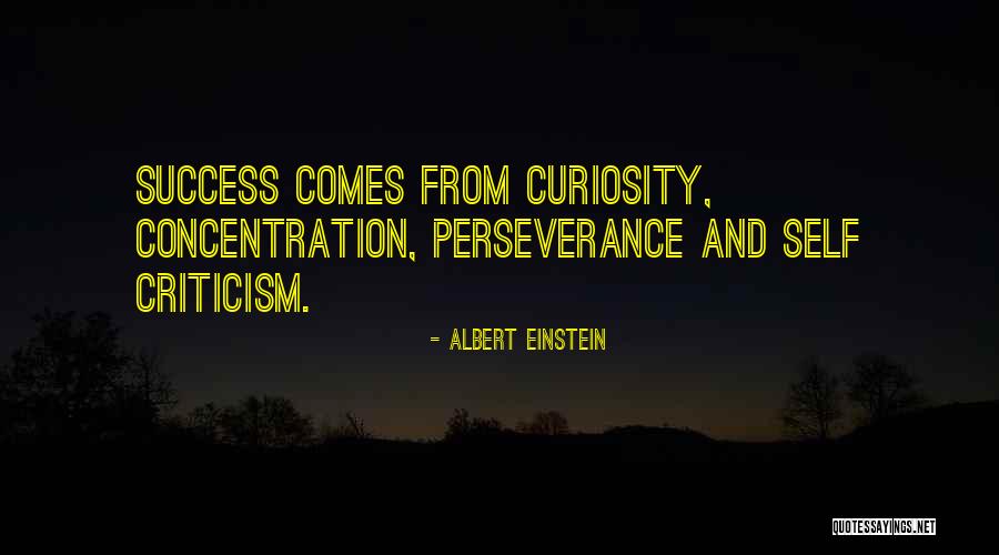 Curiosity Einstein Quotes By Albert Einstein