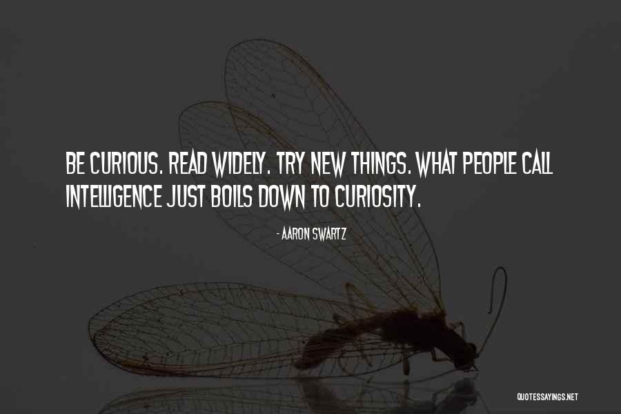 Curiosity Intelligence Quotes By Aaron Swartz Curiosity Intelligence Quotes By Aaron Swartz