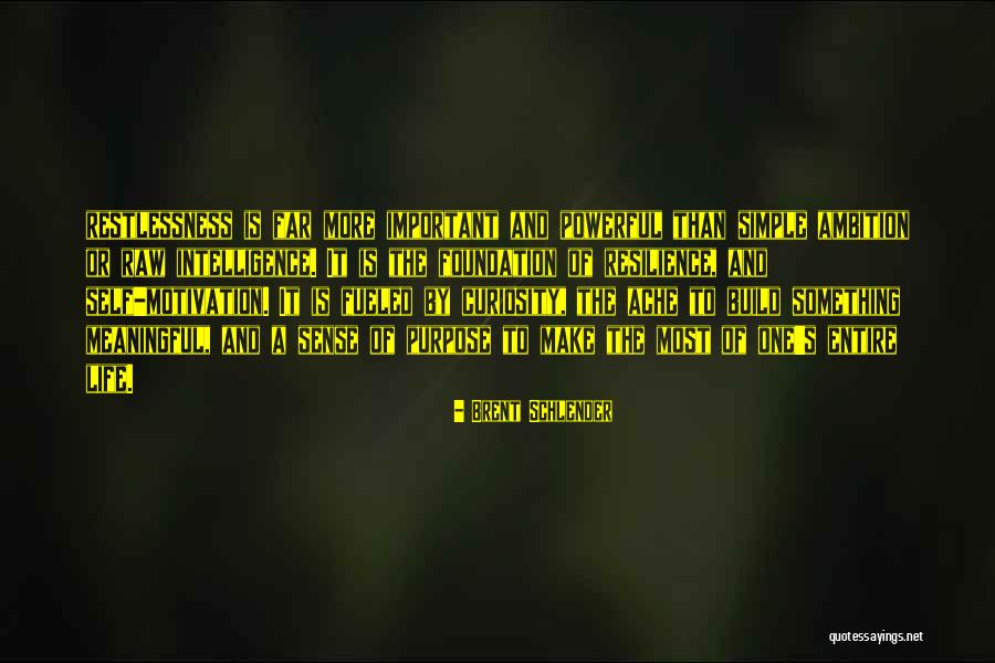 Curiosity Intelligence Quotes By Brent Schlender Curiosity Intelligence Quotes By Brent Schlender