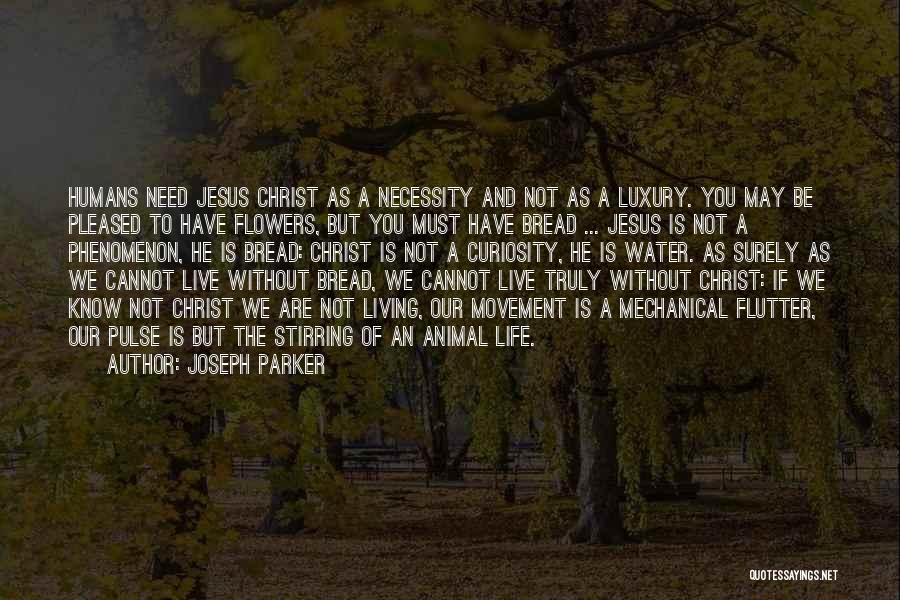 Curiosity Life Quotes By Joseph Parker