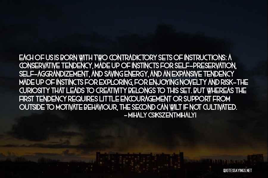 Curiosity Quotes By Mihaly Csikszentmihalyi Curiosity Quotes By Mihaly Csikszentmihalyi