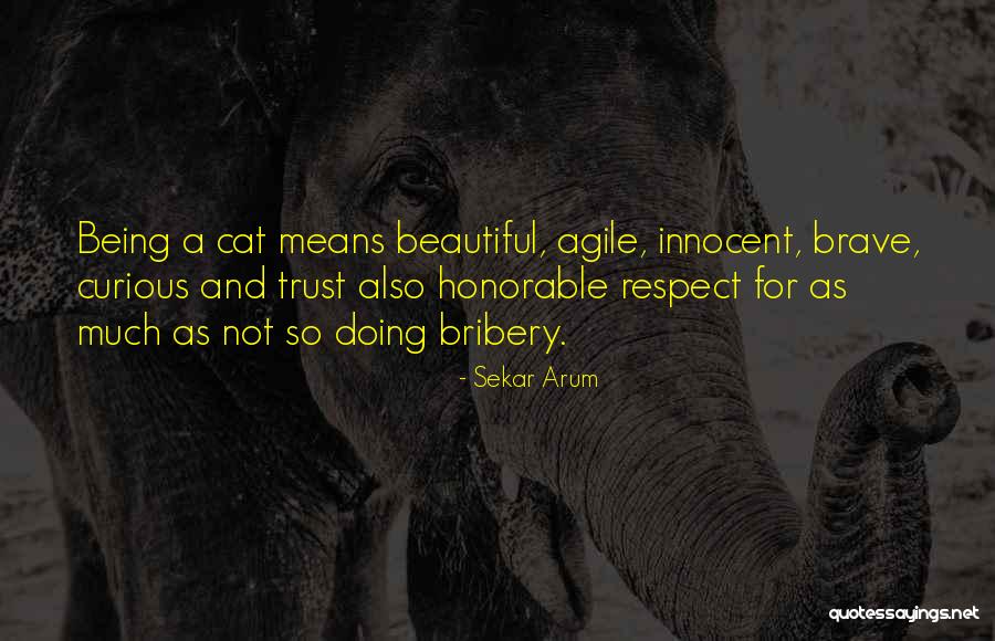 Curious Cats Quotes By Sekar Arum Curious Cats Quotes By Sekar Arum