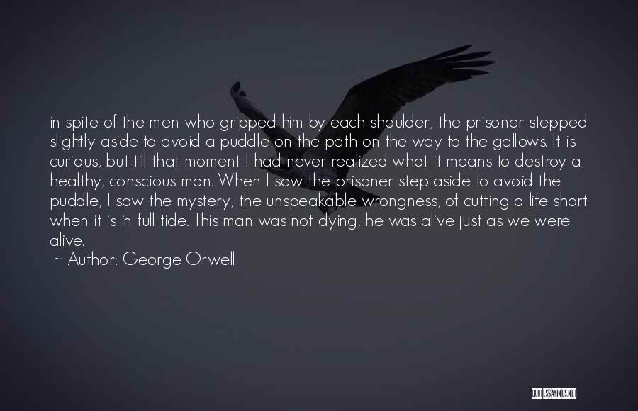 Curious George Quotes By George Orwell