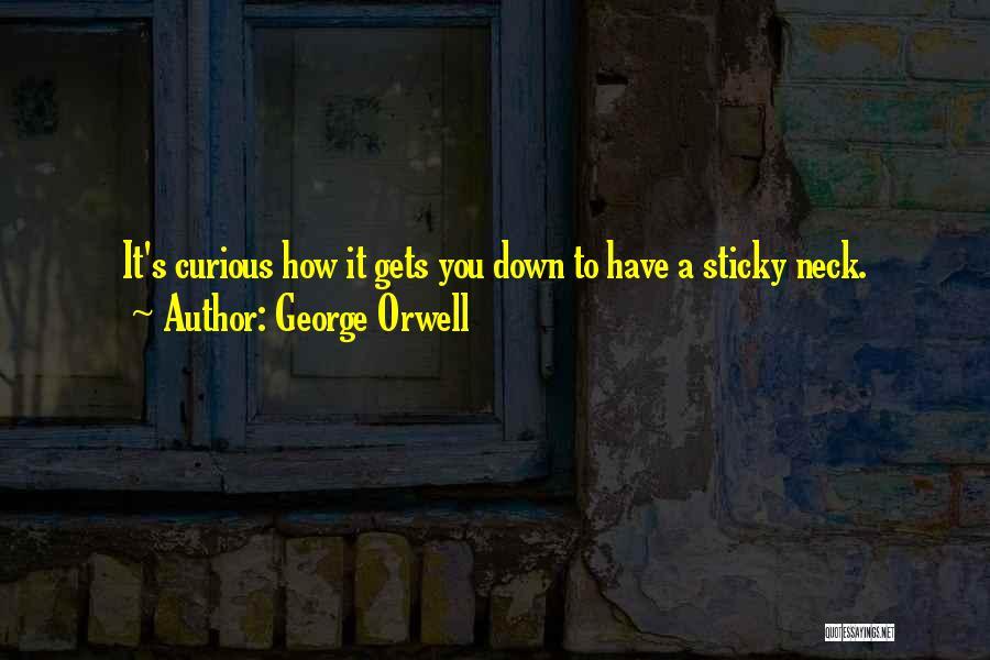 Curious George Quotes By George Orwell