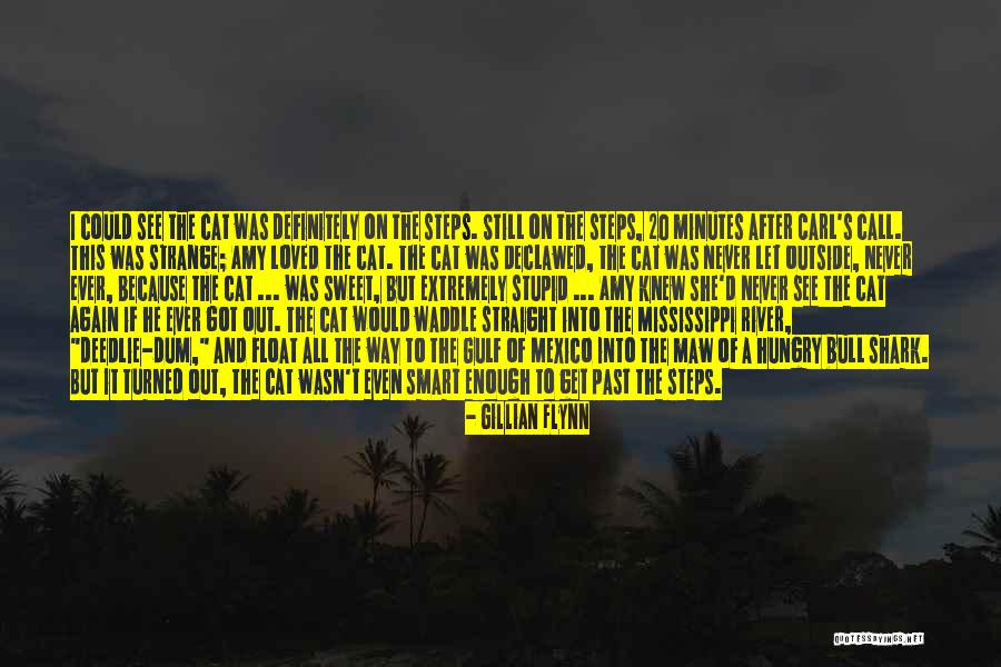 Curiozitate Dex Quotes By Gillian Flynn Curiozitate Dex Quotes By Gillian Flynn