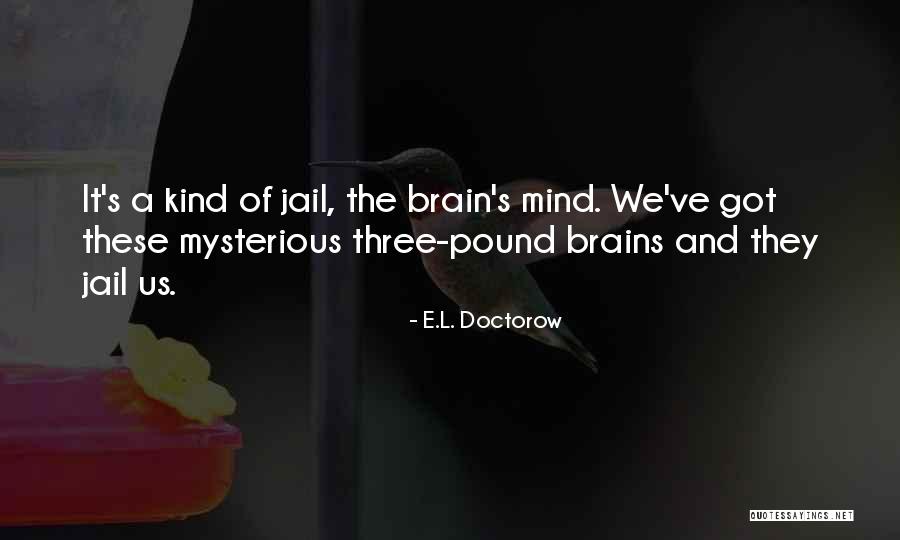 Curiozitate Epistemica Quotes By E.L. Doctorow Curiozitate Epistemica Quotes By E.L. Doctorow