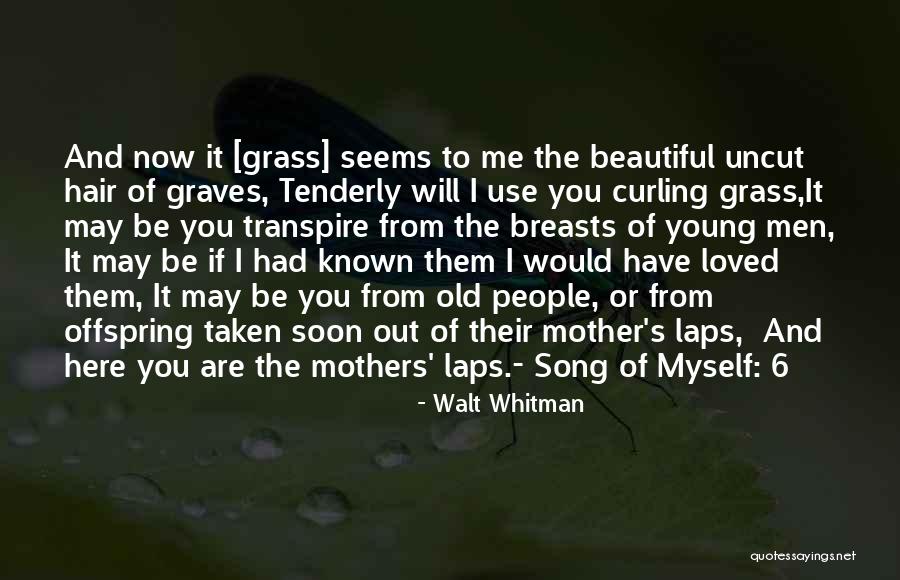 Curling Hair Quotes By Walt Whitman Curling Hair Quotes By Walt Whitman