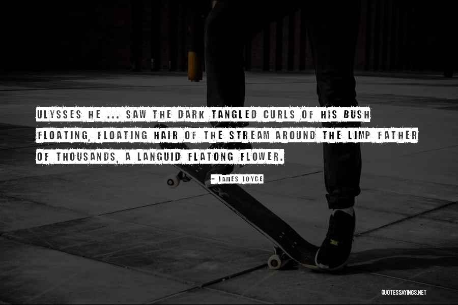 Curls Hair Quotes By James Joyce Curls Hair Quotes By James Joyce