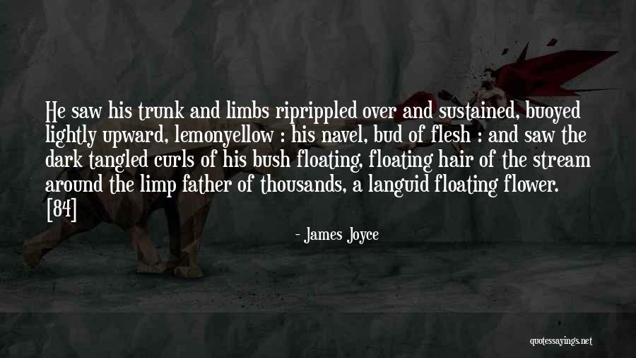 Curls Hair Quotes By James Joyce Curls Hair Quotes By James Joyce