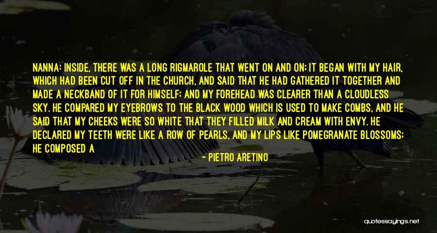 Curls Hair Quotes By Pietro Aretino