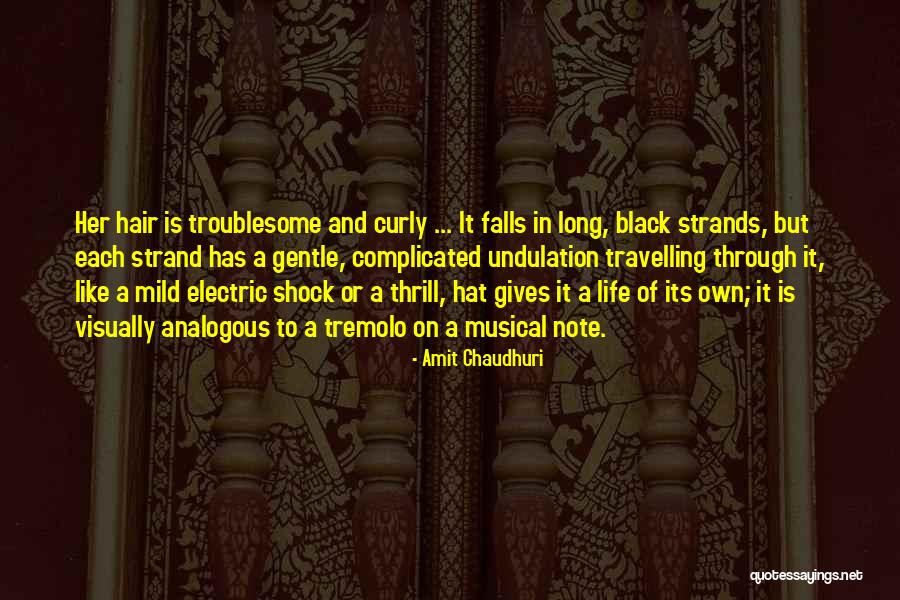 Curly Quotes By Amit Chaudhuri Curly Quotes By Amit Chaudhuri