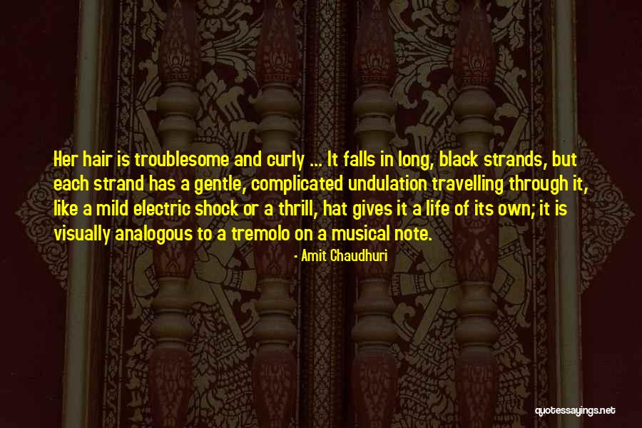 Curly Quotes By Amit Chaudhuri