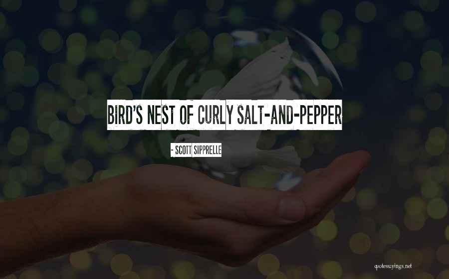 Curly Quotes By Scott Sipprelle Curly Quotes By Scott Sipprelle