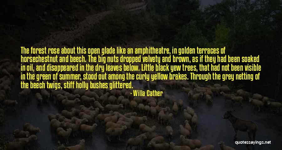 Curly Quotes By Willa Cather Curly Quotes By Willa Cather