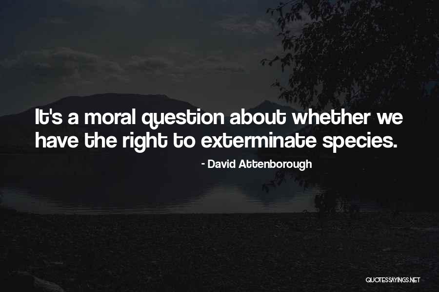 Curnen New Haven Quotes By David Attenborough Curnen New Haven Quotes By David Attenborough