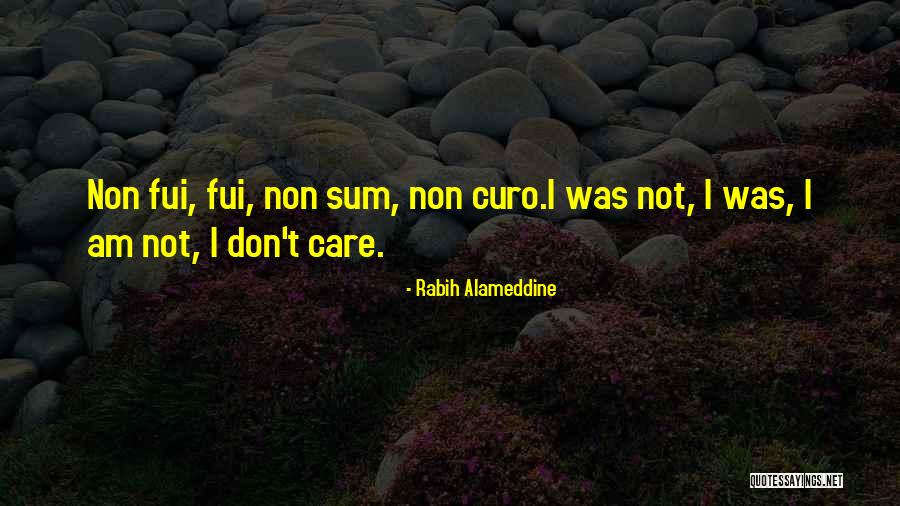 Curo Quotes By Rabih Alameddine Curo Quotes By Rabih Alameddine