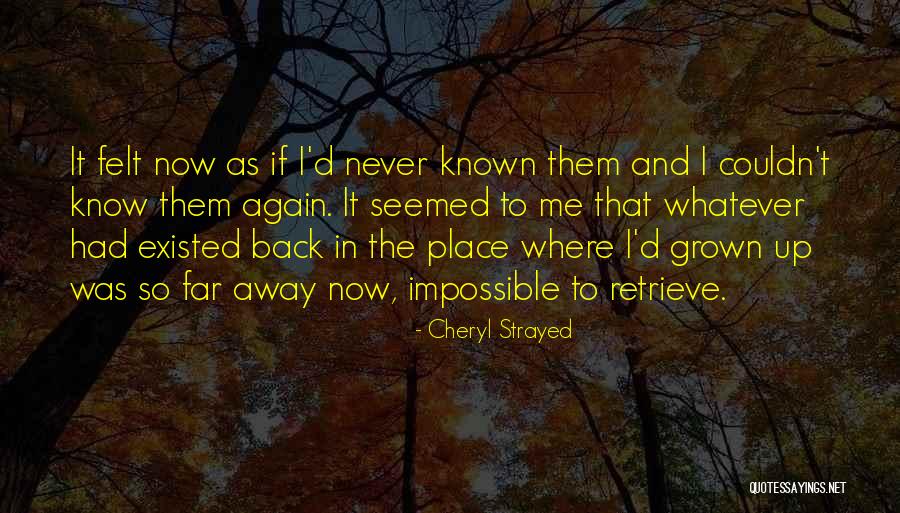 Curphey Malkin Quotes By Cheryl Strayed Curphey Malkin Quotes By Cheryl Strayed