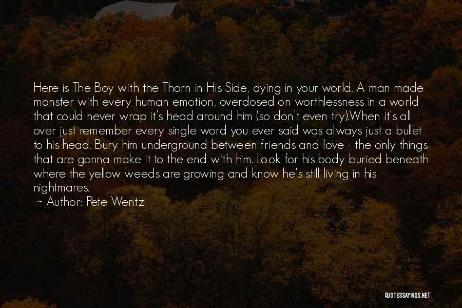 Curraghs Wildlife Quotes By Pete Wentz