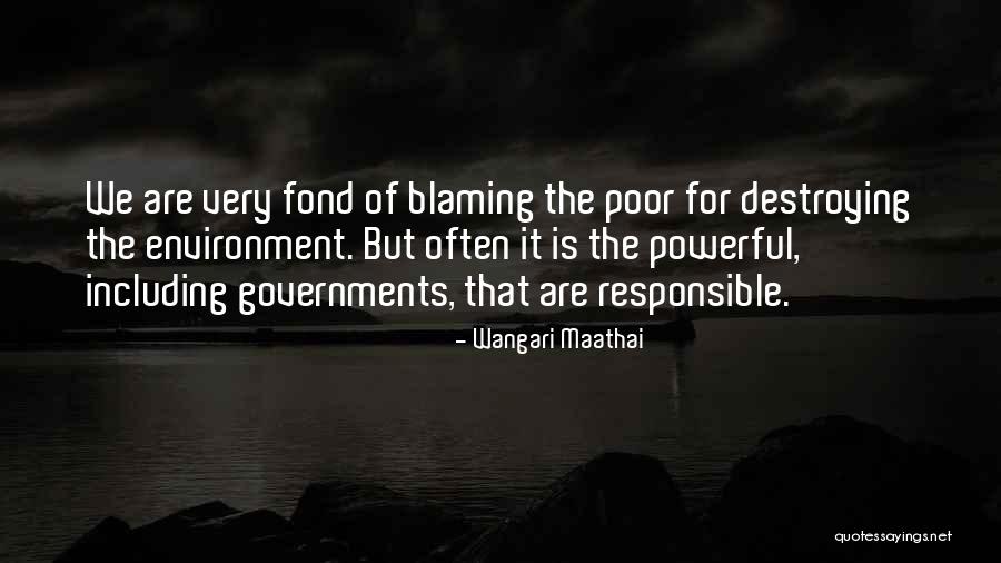 Currall Steve Quotes By Wangari Maathai Currall Steve Quotes By Wangari Maathai