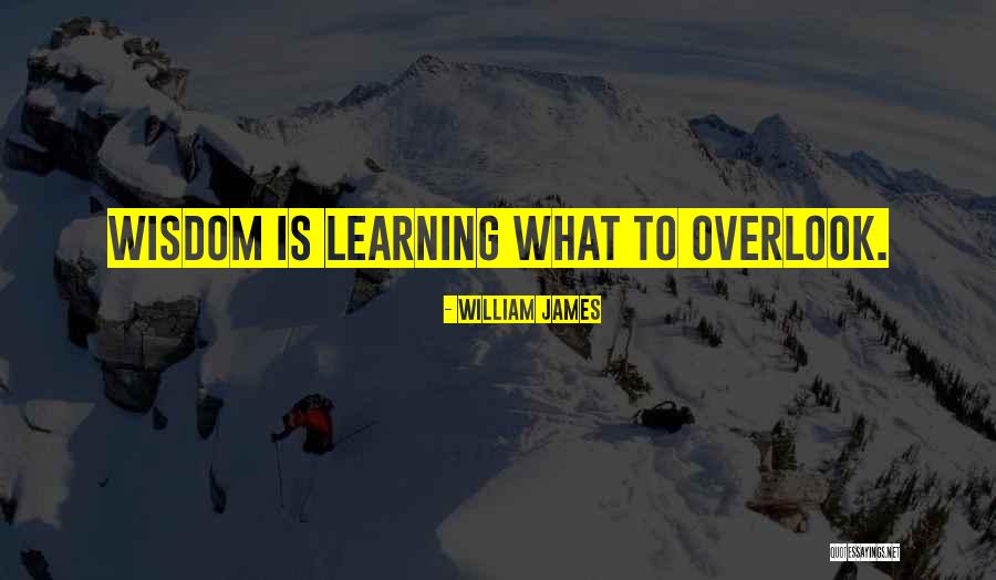 Currants Quotes By William James Currants Quotes By William James