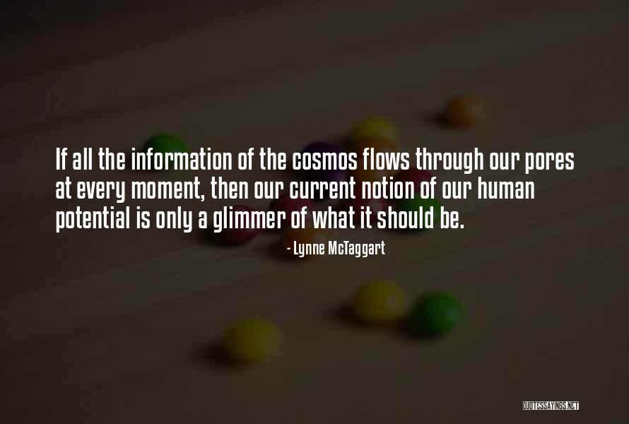 Current Moment Quotes By Lynne McTaggart Current Moment Quotes By Lynne McTaggart