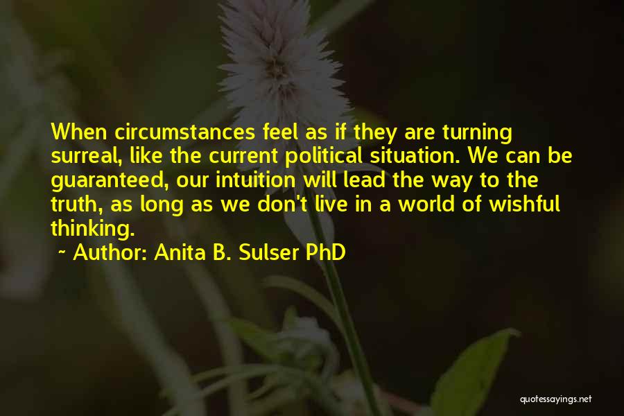 Current Political Quotes By Anita B. Sulser PhD