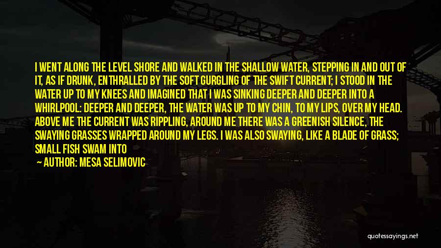 Current River Quotes By Mesa Selimovic