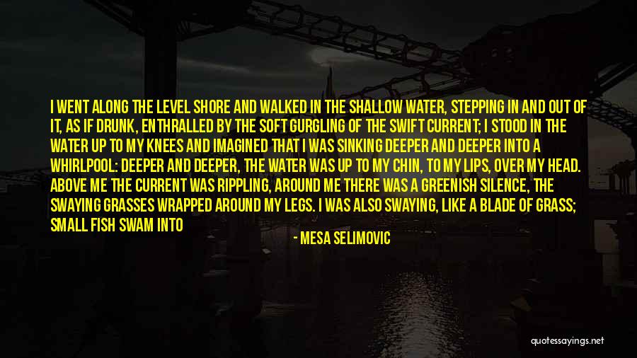 Current River Quotes By Mesa Selimovic