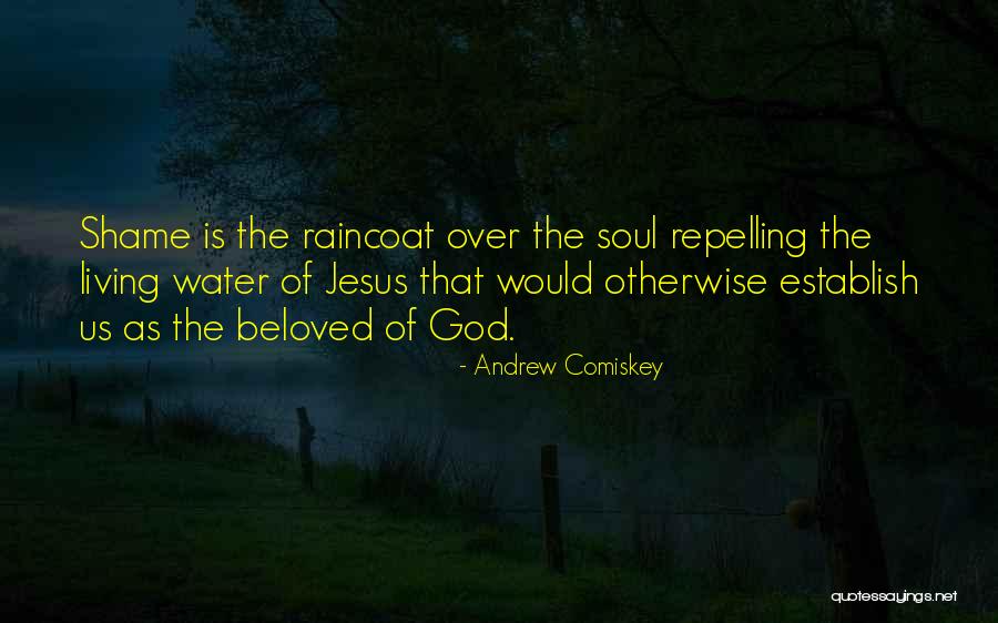 Currin1776 Quotes By Andrew Comiskey Currin1776 Quotes By Andrew Comiskey