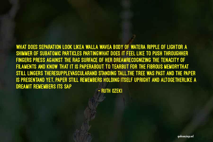 Currying In Scala Quotes By Ruth Ozeki Currying In Scala Quotes By Ruth Ozeki