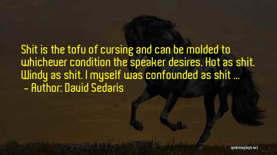 Cursing Myself Quotes By David Sedaris