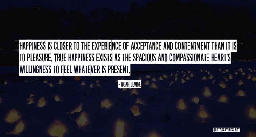 Cursisty Quotes By Noah Levine Cursisty Quotes By Noah Levine