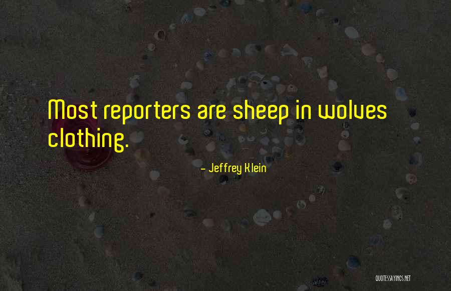 Cursorily In A Sentence Quotes By Jeffrey Klein