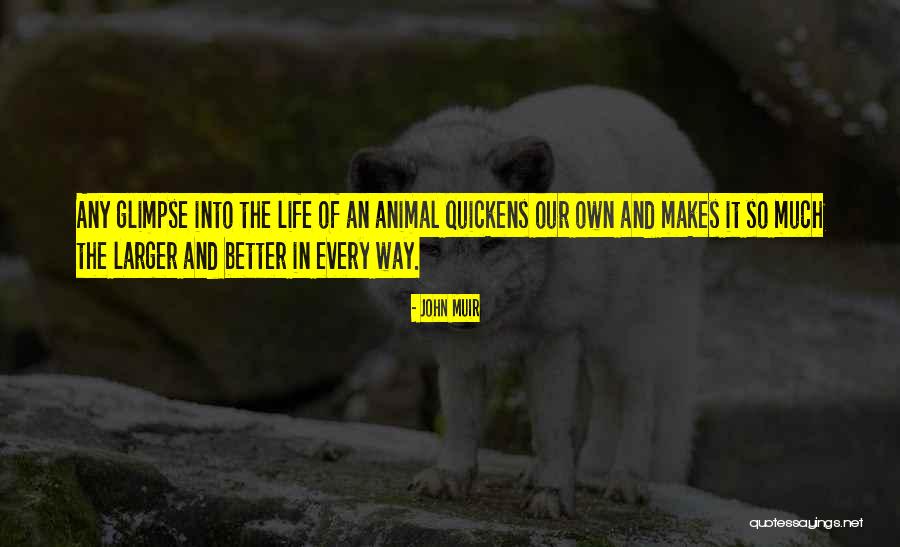 Cursus Quotes By John Muir Cursus Quotes By John Muir
