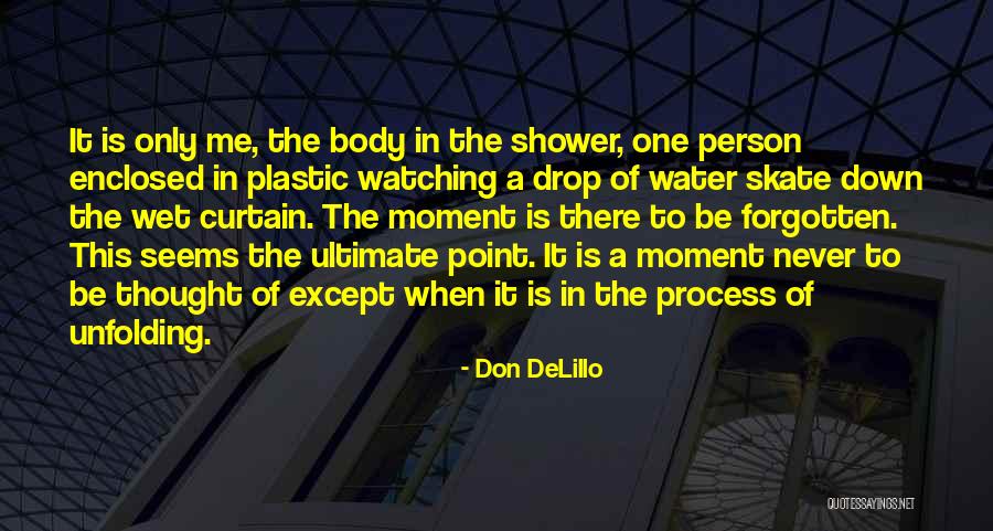 Curtain Quotes By Don DeLillo
