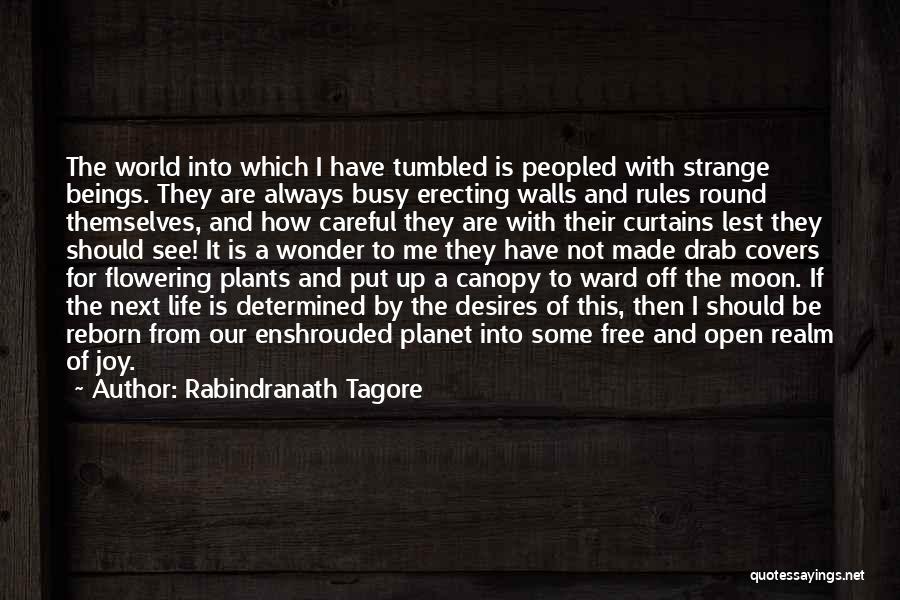 Curtains Quotes By Rabindranath Tagore