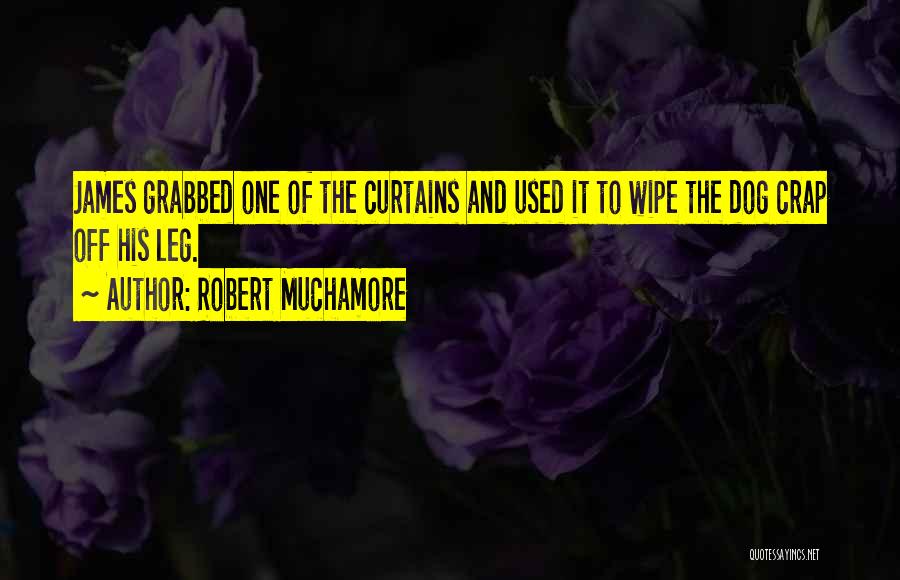 Curtains Quotes By Robert Muchamore