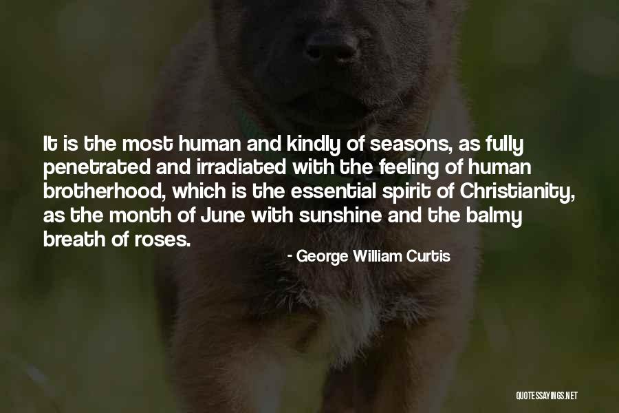 Curtis Quotes By George William Curtis