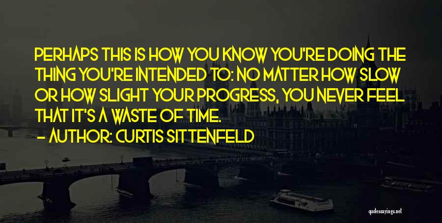 Curtis Sittenfeld Quotes 1110721