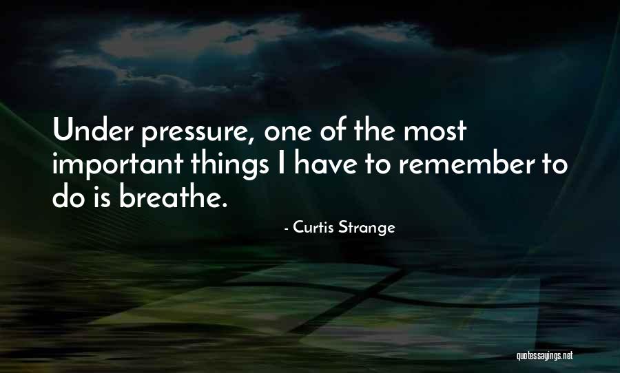 Curtis Strange Quotes 471397