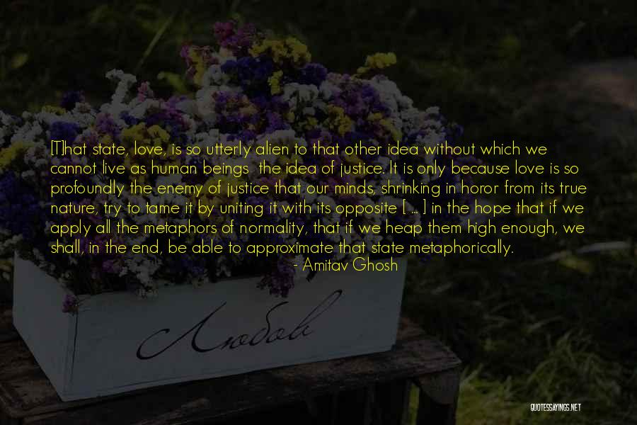 Curvature Of The Spine Quotes By Amitav Ghosh Curvature Of The Spine Quotes By Amitav Ghosh